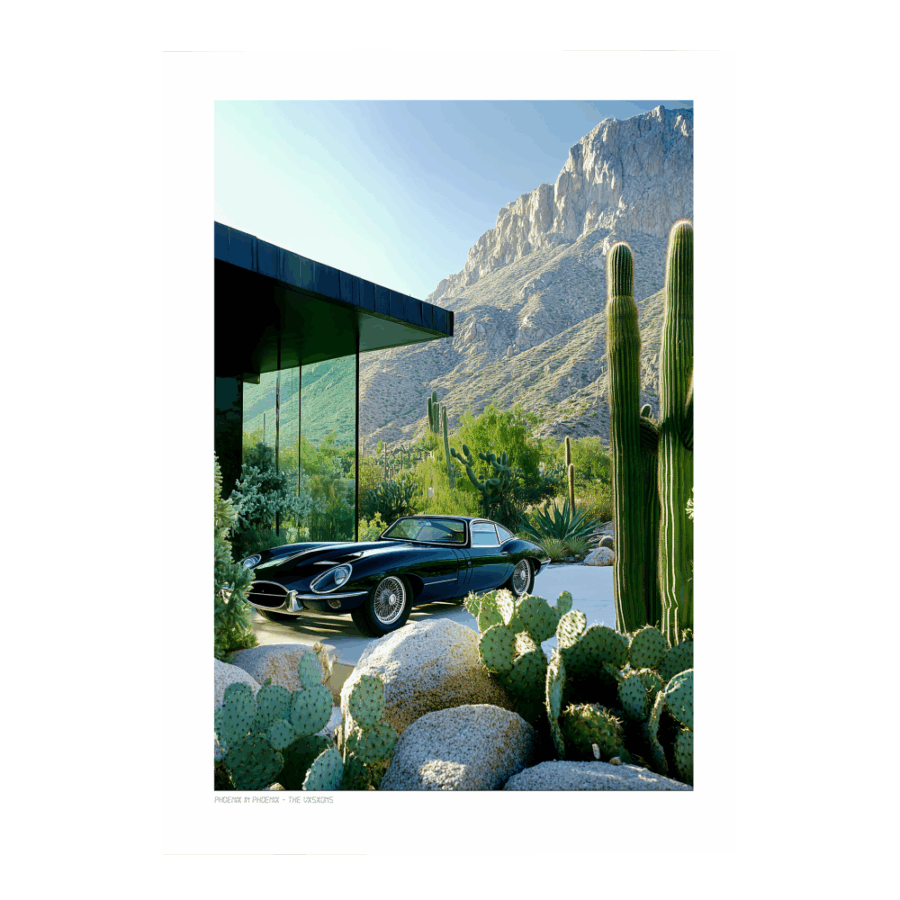 THE VISION 014
