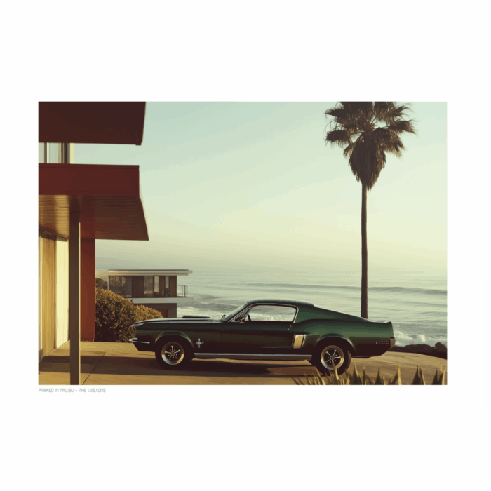 THE VISION 024