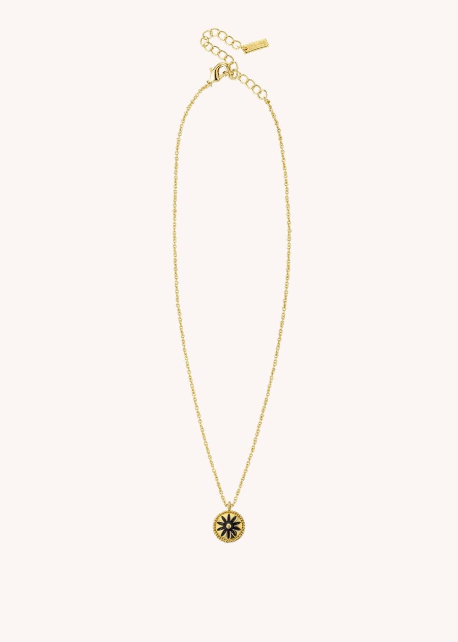 CO black flower or