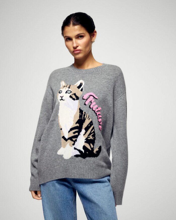 Pull col rond chat gris chiné foncé